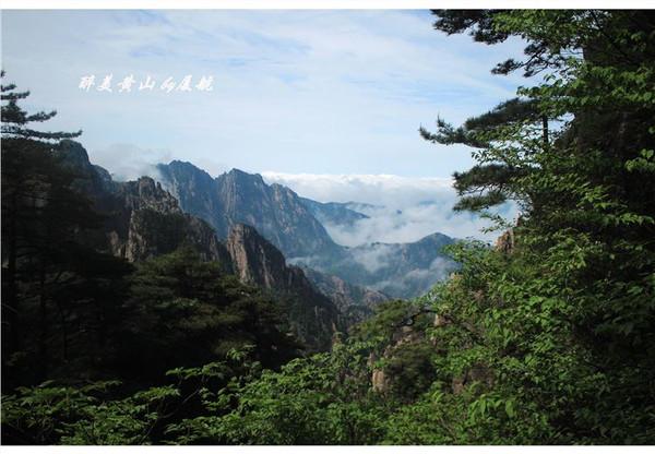 在路上▲天下第一奇山,风景优美奇松怪石,游客慕名而来