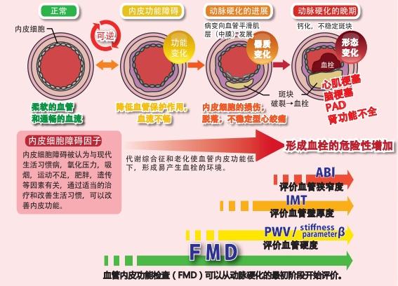 血管|血管也有年龄？这两项检查，测一测你的血