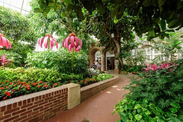 「旅行柚子君」浪漫花园:欣赏各地奇珍异草共同生长的繁荣景象