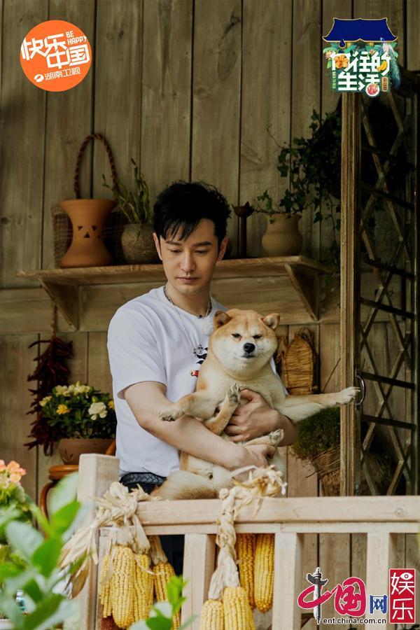 黄晓明《向往4》里＂认真减肥＂ 蘑菇屋中惊闻＂再来一块＂|中国网