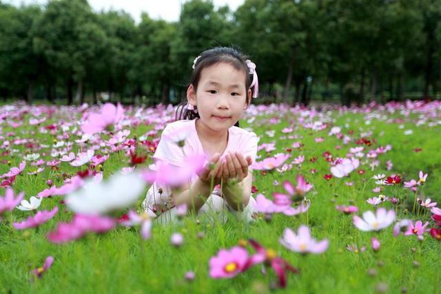 #约吗旅行#花又开好了!海盐开发区百亩花田盛情绽放