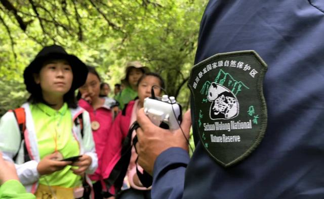 你的育儿经|2020夏令营丨造房子/探秘熊猫/昆虫科考/水中急救……最强小孩养成，一个夏天就够了