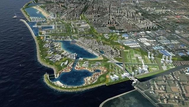 项目|定了！2021年金山区重大工程和实事项目出炉