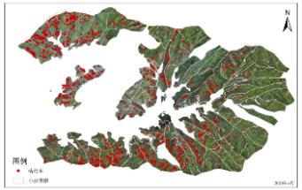 Yusense Map+行业应用软件：松材变色立木识别与定位模块