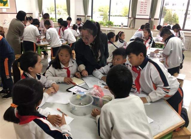 你的育儿经：“奶奶，老师让带多肉”，第二天孩子带来的东西，让老师哭笑不得