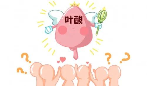 你的育儿经|叶酸知一二，孕期补充叶酸的那些事（三）