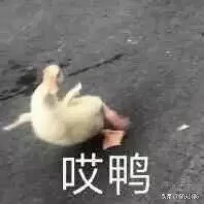 你的育儿经@太心疼了！女童被卡痛哭连连......小手紧紧抓住消防蜀黍的衣服