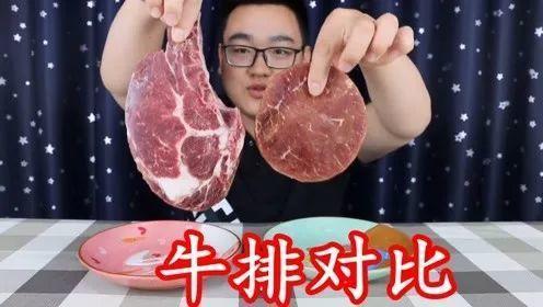 草饲牛肉VS谷饲牛肉，常见的牛排有哪些？怎么选择一块好的牛排？