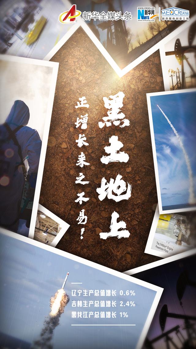 海报：黑土地上，正增长来之不易