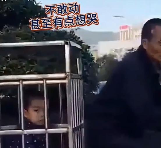 超级宝妈|有种同款护娃是隔代亲,最安全“接娃坐骑”,宝宝不敢动甚至想哭