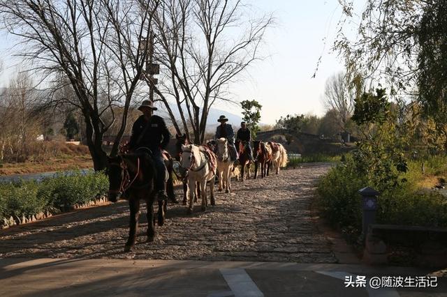 世界那么大@云南茶马古道上幸存的集市——沙溪古镇游记