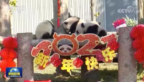 我国|又双叒叕降价了