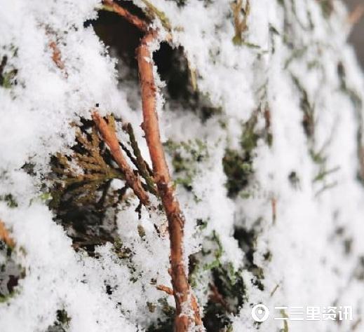 趣旅游■看看窗外的雪！美丽乡村的美景无处不在，令人眼花缭乱