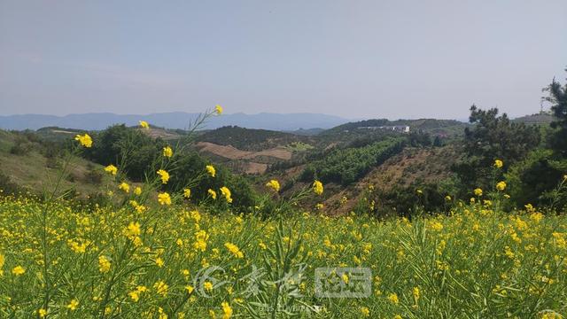 【旅行柚子君】【十堰】带你探访龙山烟雨景区!还有一个意外之喜