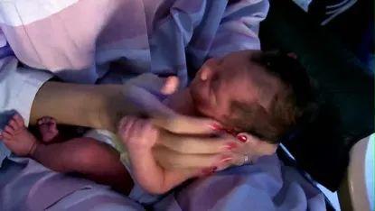 细胞|“母子连心”、“无师自通”原来竟与它有关