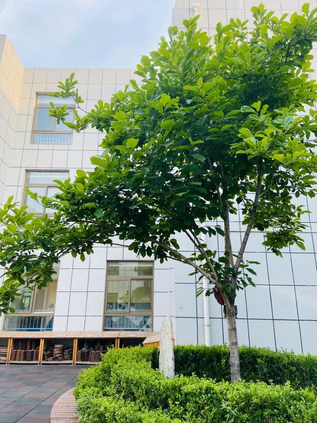 齐鲁东营资讯|开学啦 我们不见·不散