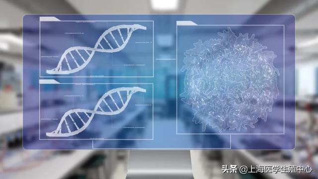 我们的那些年|在你羡慕别人试管助孕成功时，不妨来了解下你失败的原因！