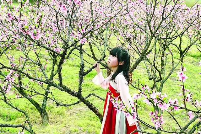 「旅行百事通」武夷山市把美丽乡村建设与乡村旅游相结合,助推乡村旅游,提升乡村人居环境
