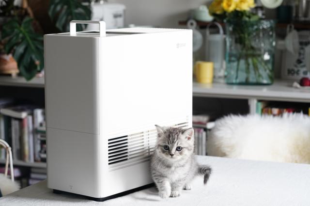 国产研发“无雾”加湿器！每小时蒸发2瓶农夫山泉，让空气都湿润