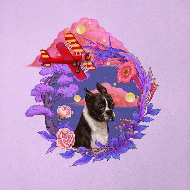『你的育儿经』德国和中国,不焦虑的和很焦虑的妈妈
