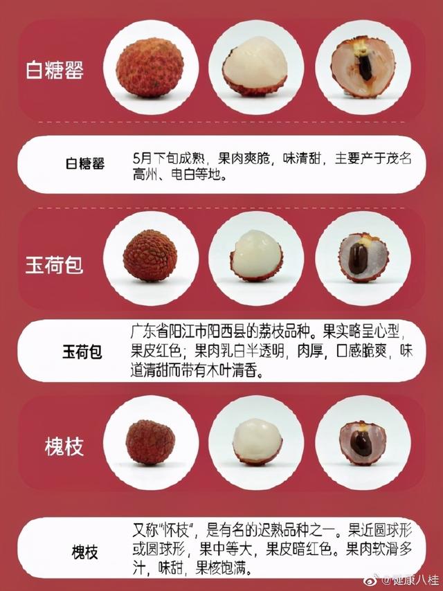 荔枝|你能分辨出荔枝的种类吗？最喜欢的是哪一种？
