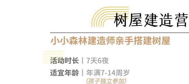 你的育儿经|2020夏令营丨造房子/探秘熊猫/昆虫科考/水中急救……最强小孩养成，一个夏天就够了