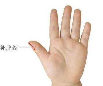 你的育儿经：小儿推拿课堂 | 小儿积食应如何应对（下）？