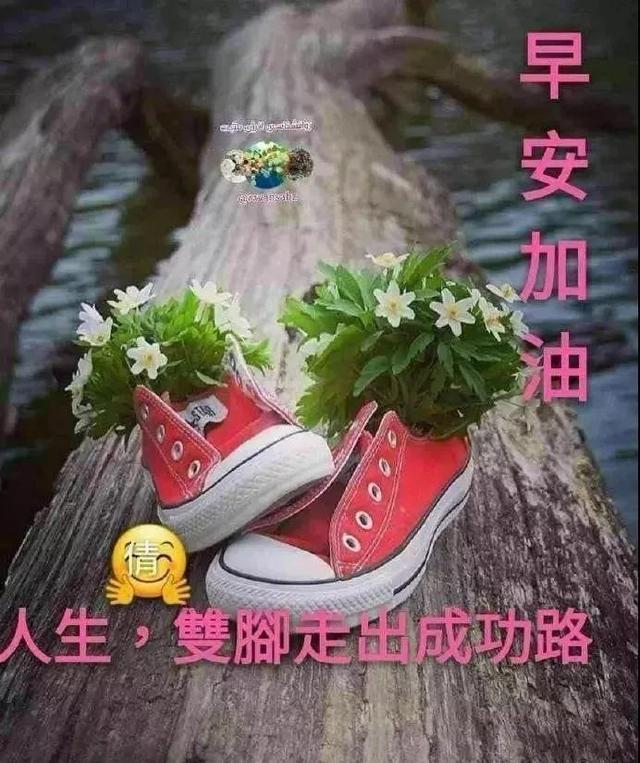 天冷多注意，添衣保暖防病袭；保持好心情，莫要烦躁坏情绪。早安