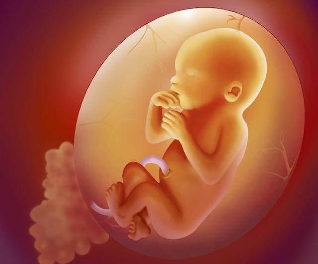 「你的育儿经」胎动最早什么时候出现？不是16周，而是这个孕周，孕妈要心里有数