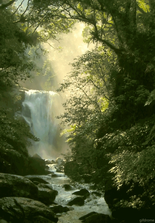 Watching Life's Storms and Hardships with a Peaceful Heart