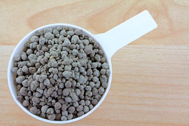 我家的花草，被这10个小动作拯救了，件件简单，但非常实用