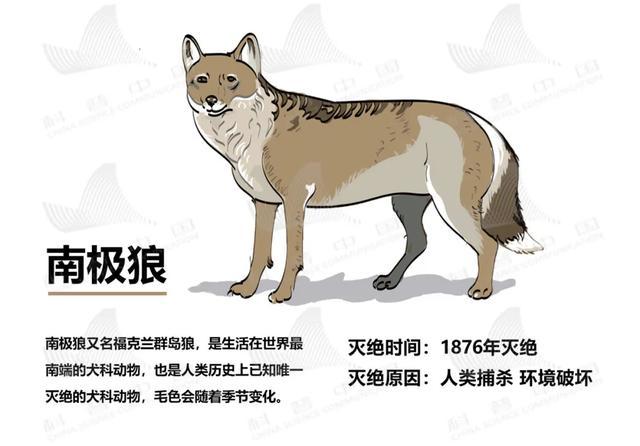 新华网客户端:今天的头条,只想留给TA们……
