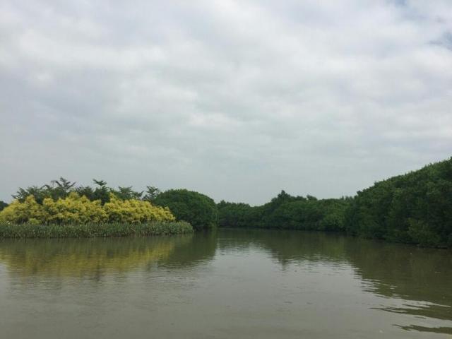 广东5个周边自驾游赏花好去处推荐