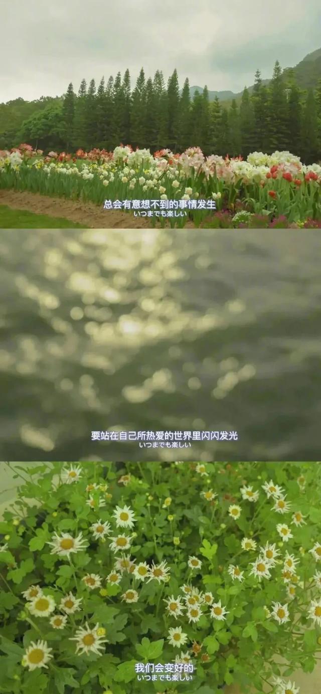 壁纸（一百二十五）