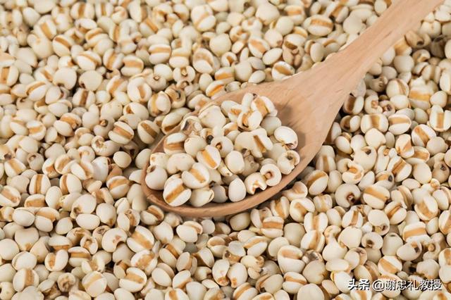 薏苡仁除了能除湿痹还有这些功效哦！早吃早受益