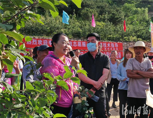 河北新闻网河北滦州:李保国科技志愿者服务队鸡冠山上传技术