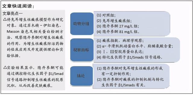 隐丹参酮抑制模型兔耳增生性瘢痕的作用及机制