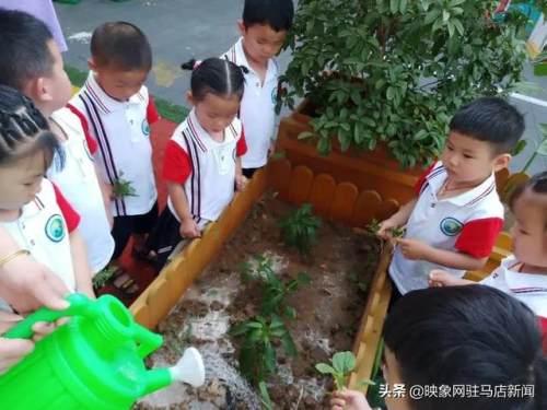 超级宝妈|西平县直第二幼儿园“六一”系列活动纪实