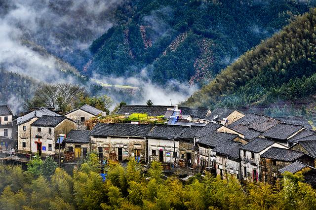 「你的育儿经」我的上海亲子游，不去传统景点，这些地方全是孩子喜欢的
