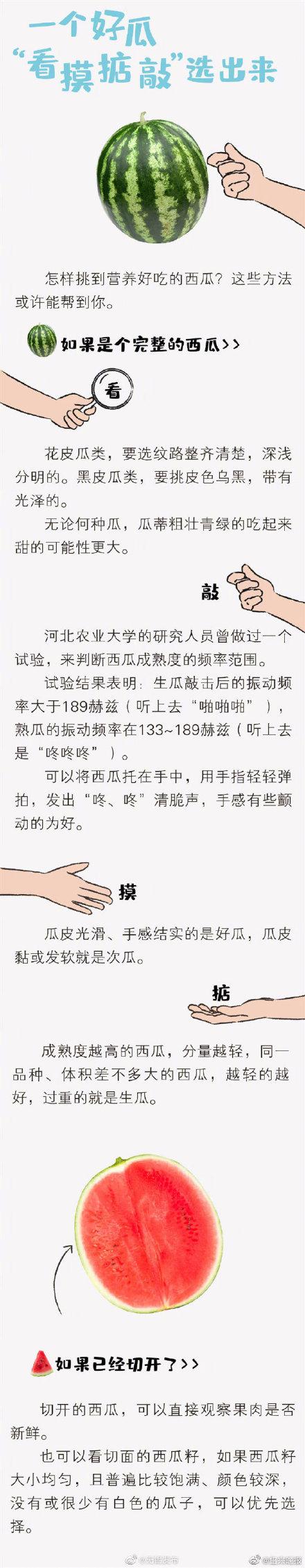 西瓜|“看摸掂敲”，记住4个字选出一个好西瓜