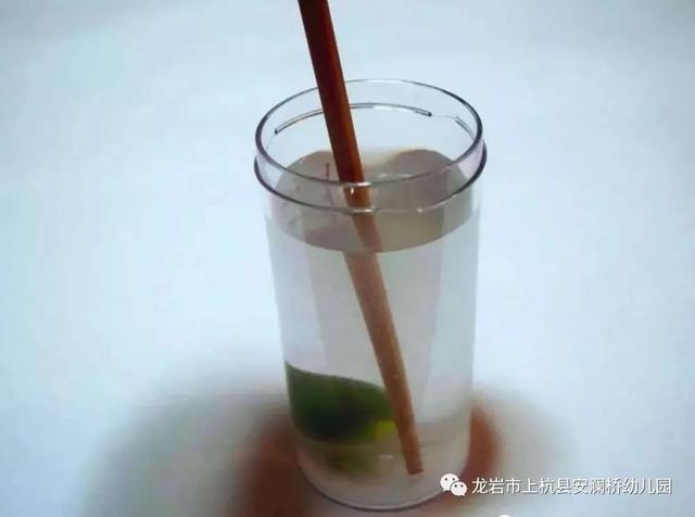 「你的育儿经」「防控“新冠”，安幼在线」——宅家课堂（二）