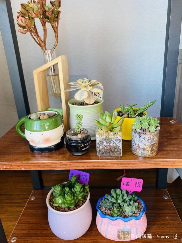 爱肉爱宝，不离不弃，未来可期