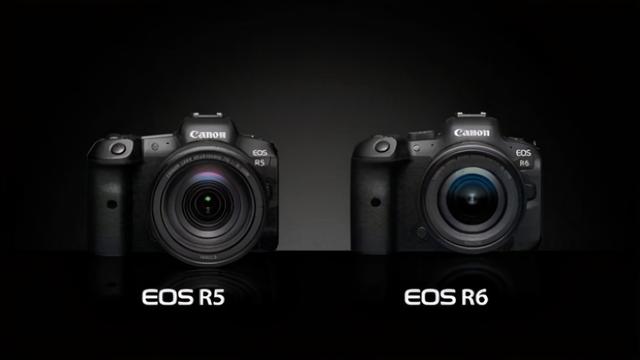 终于跌过官方价，该买EOS R6了？RF镜头到底值不值？