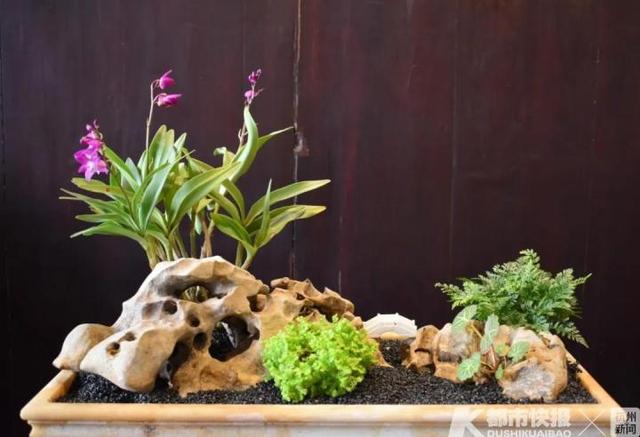 「玩乐足迹」胡雪岩故居明起开放，快来预约免费参观