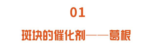 血管清道夫，斑块的克星！用它泡水喝，消斑块，预防心脑血管疾病