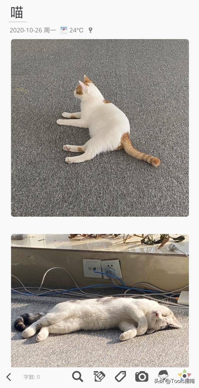 我花了一下午，测试了这5款高效APP！网友：用了离不开