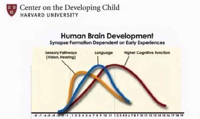 李玫瑾：孩子是否是读书的料，幼儿园时期就可看出，特征很明显