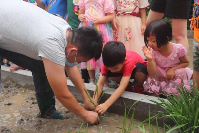 小酒窝|真有意思！这家幼儿园开了个“插秧课”，孩子们报名踊跃