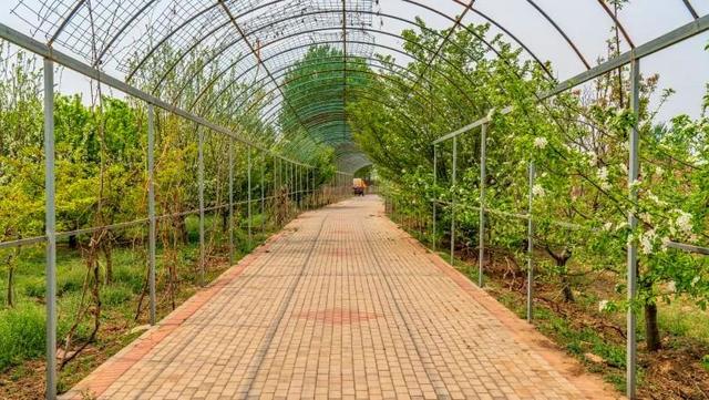 「旅行柚子君」云游通州 | 过把陶渊明的瘾!快节奏中的慢时光,城市里的世外桃源