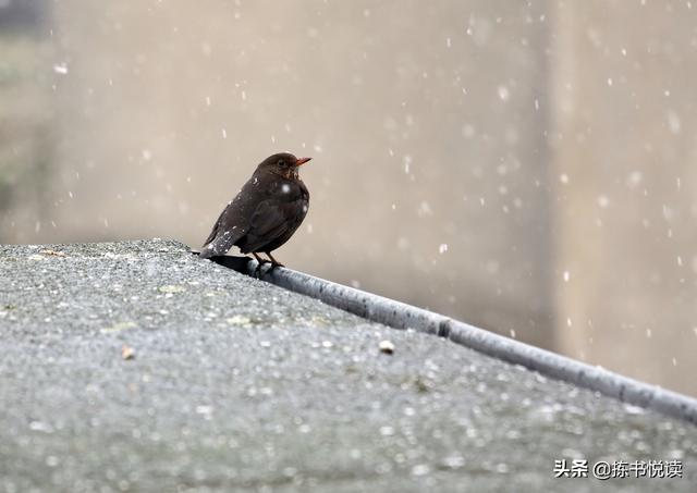 一丝丝温存